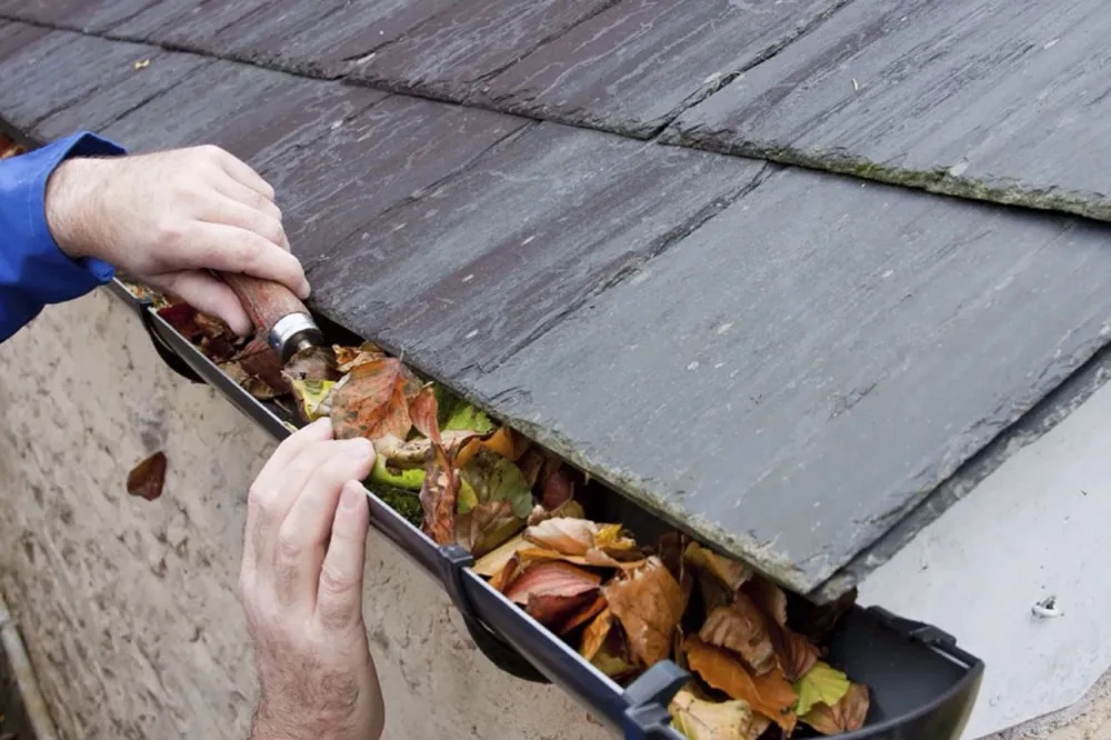Gutter cleaning