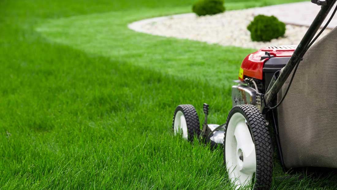 Gartenpflege & Rasen